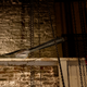 Image for article titled Last Remaining Chinese Paddlefish Cackling In Rafters Of World Wildlife Fund Press Conference Declaring It Extinct